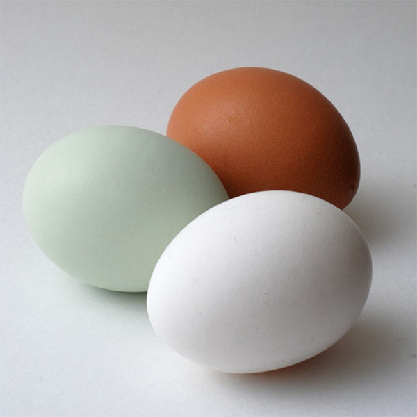 eier_farben